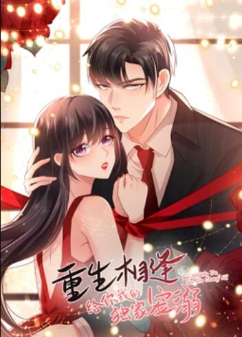 重生相逢：给你我的独家宠溺 动态漫画 第20集(大结局)