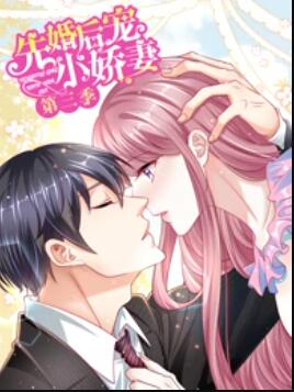 先婚后宠小娇妻第三季 第01集
