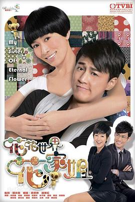 花花世界花家姐粤语 第17集