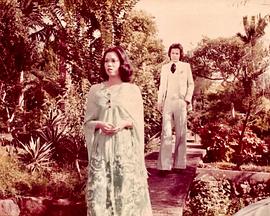 片断粤语 第03集