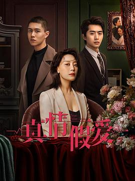 真情假爱2023 第24集(大结局)