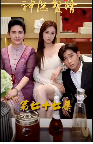 神医赘婿 第65集