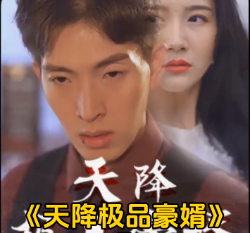 天降极品豪婿 第126集