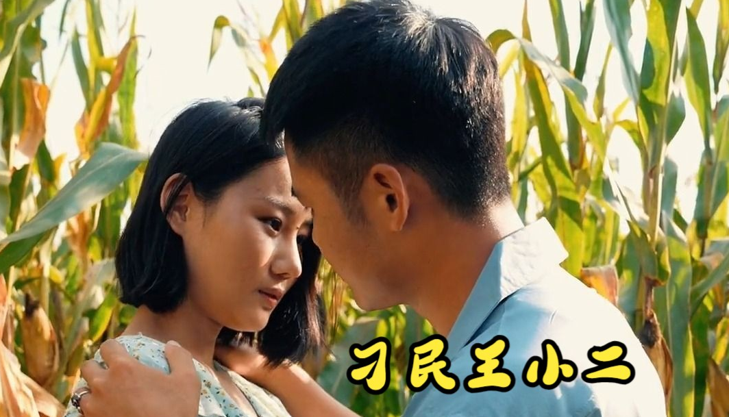 刁民王小二 第49集