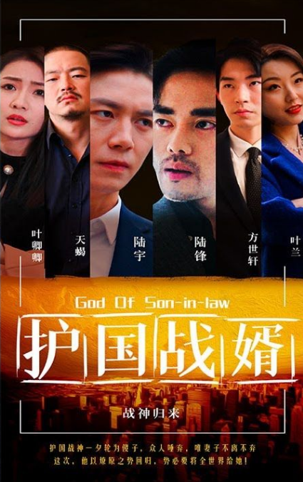 护国战婿 第09集