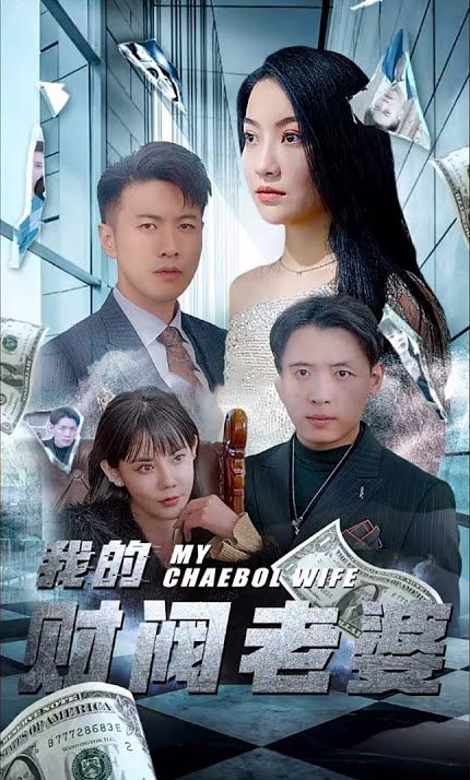 我的财阀老婆 第27集