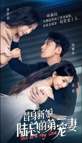 替身新娘:陆总的第一宠妻 第93集(大结局)