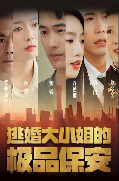 逃婚大小姐的极品保安 第100集(大结局)