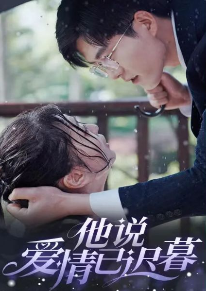 他说爱情已迟暮 第35集