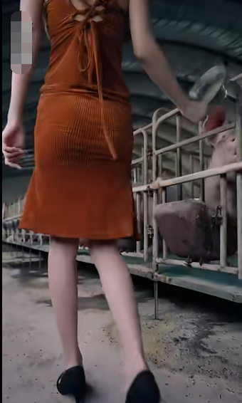 未来日记短剧 第54集