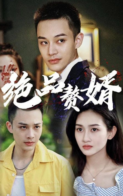 绝品赘婿 第47集