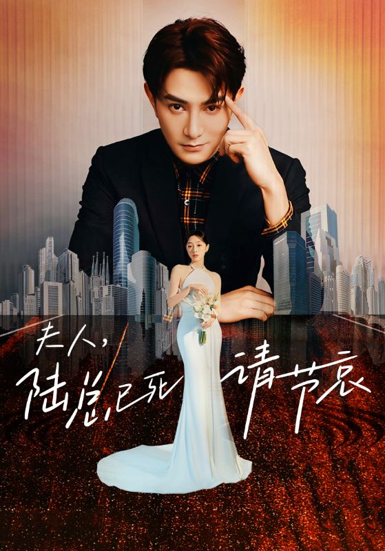 夫人，陆总已死请节哀 第91集