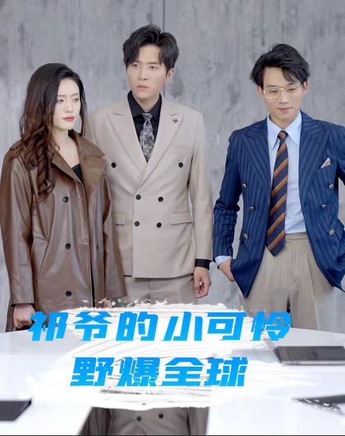 祁爷的小可怜野爆全球 第04集