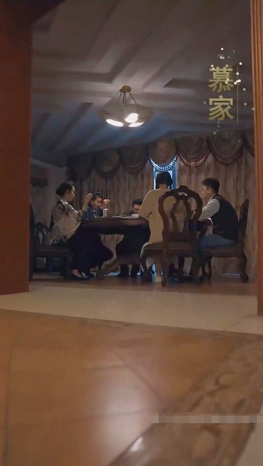 我成了段总的腹黑女保镖 第35集