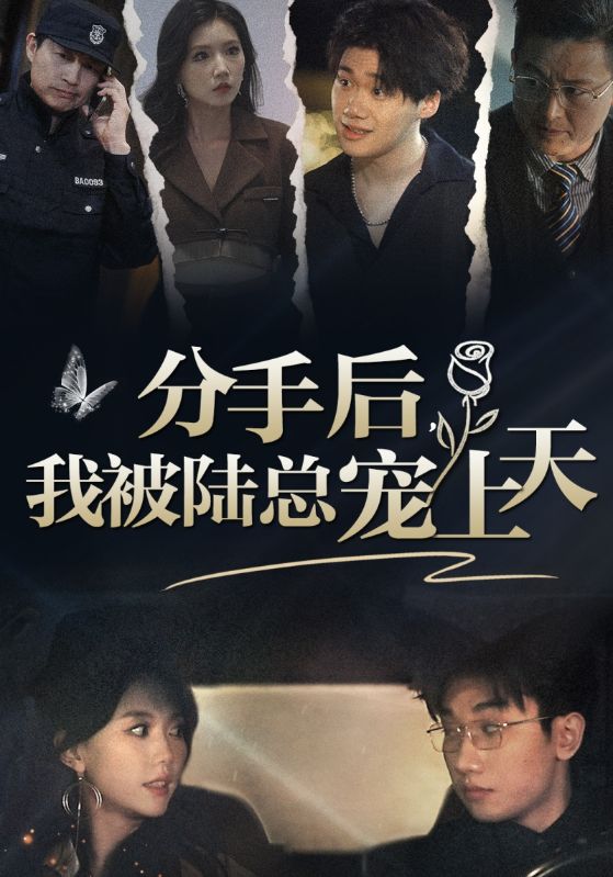 分手后，我被陆总宠上天 第34集