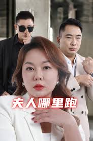 夫人哪里跑 第14集