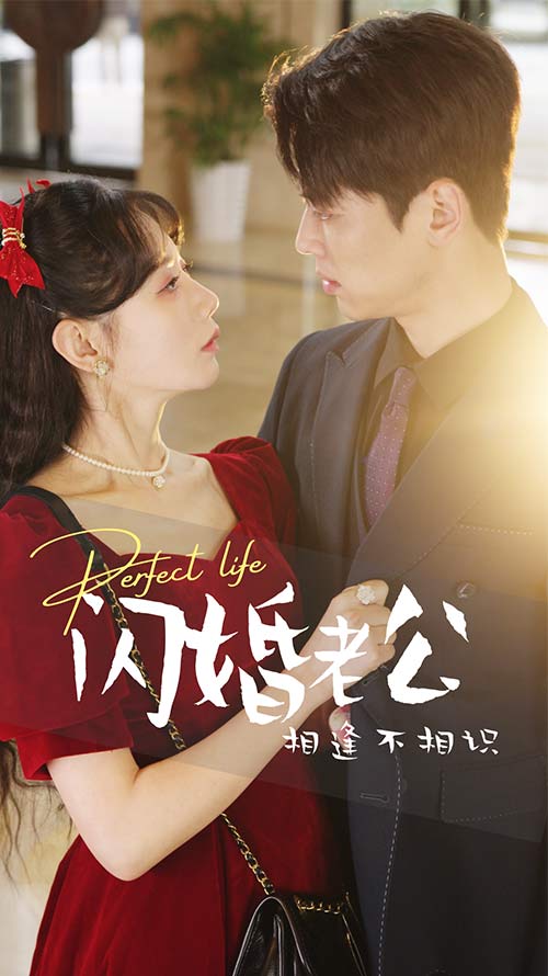 闪婚老公相逢不相识 第21集