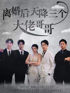 离婚后天降三个大佬哥哥 第14集