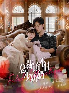 总裁镇不住少奶奶 第18集