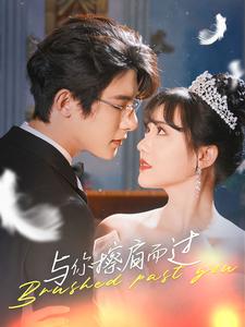 与你擦肩而过 第25集