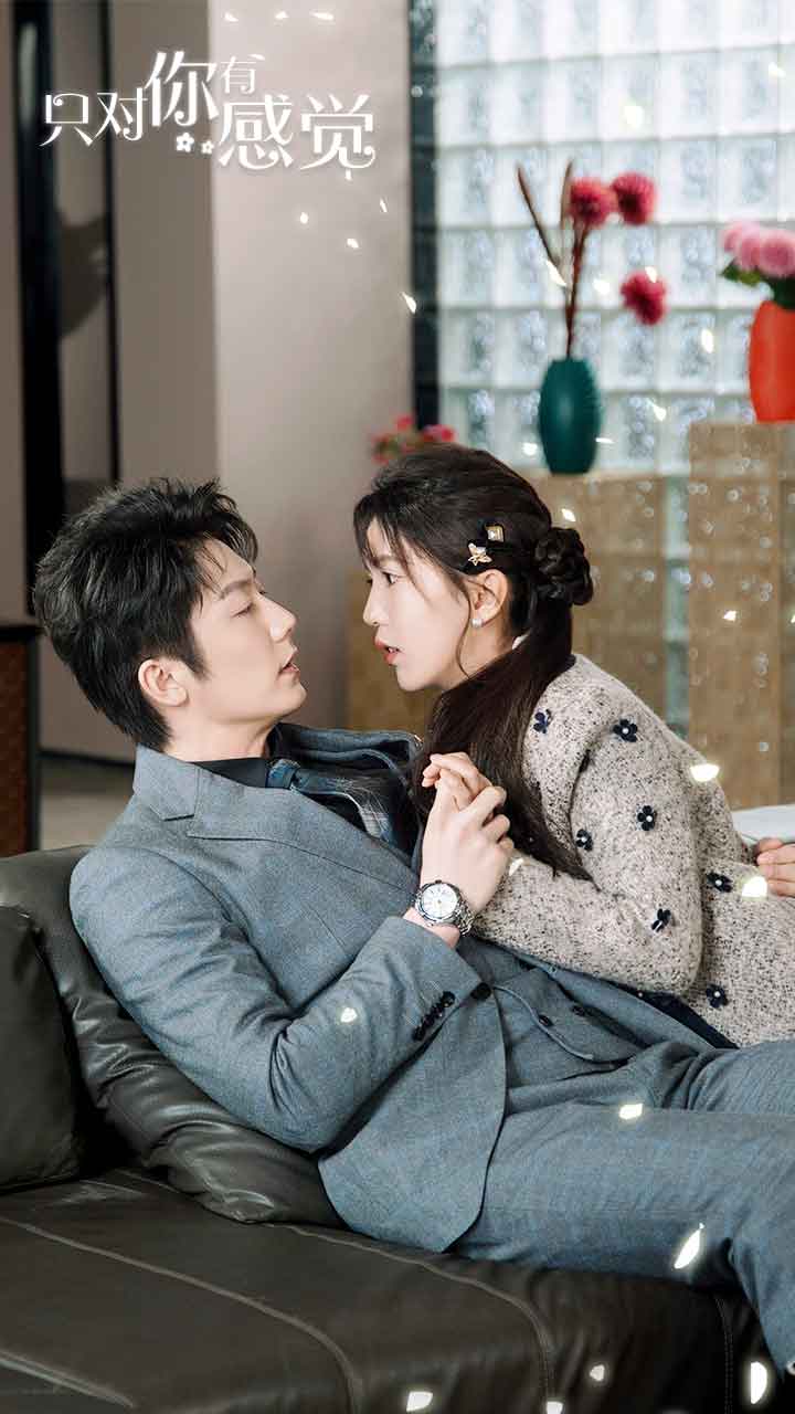 只对你有感觉 第12集