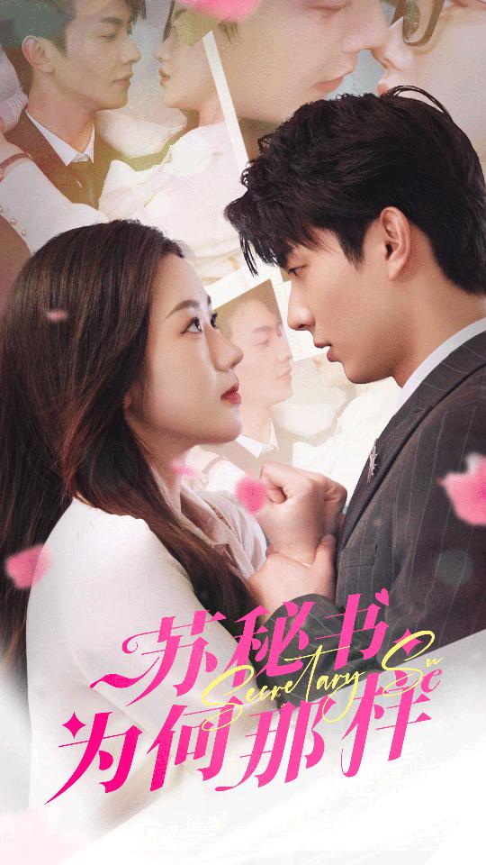 苏秘书为何那样 第47集