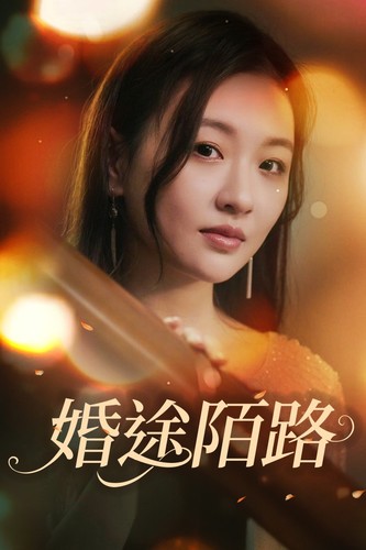 婚途陌路 第09集