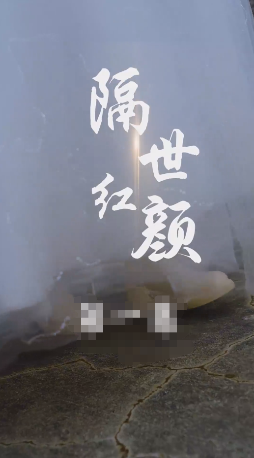 隔世红颜 第15集