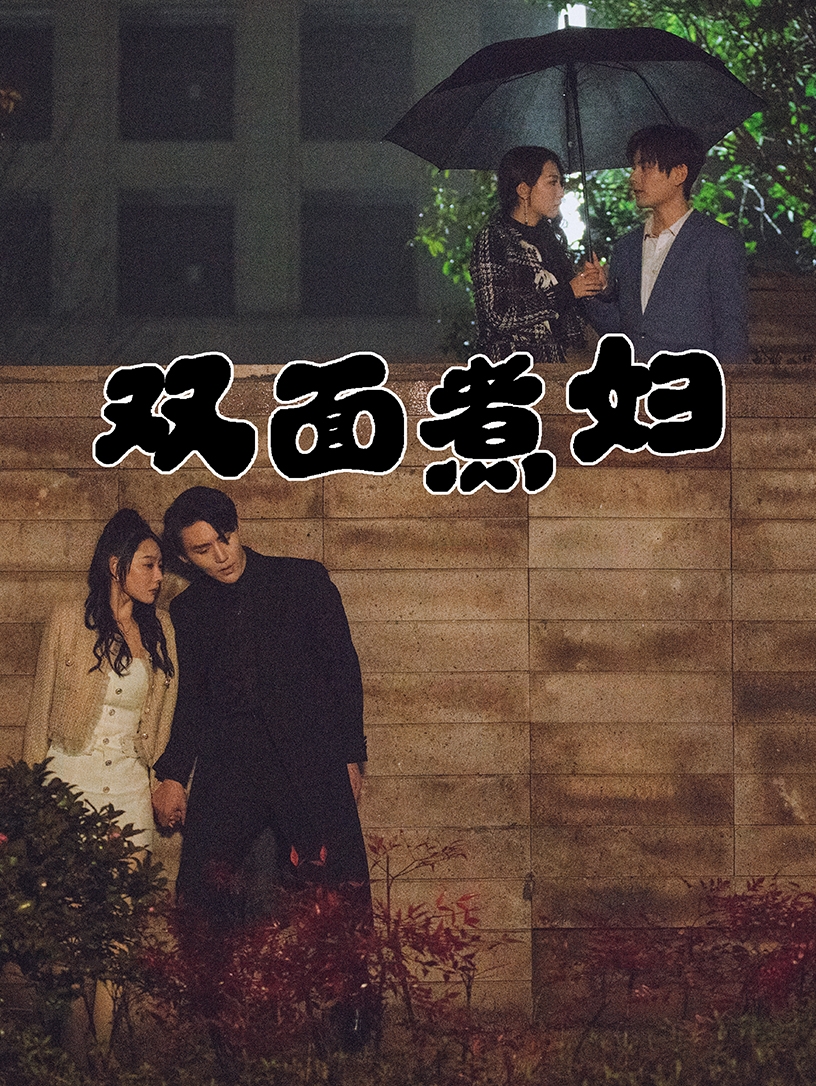 双面煮妇 第22集