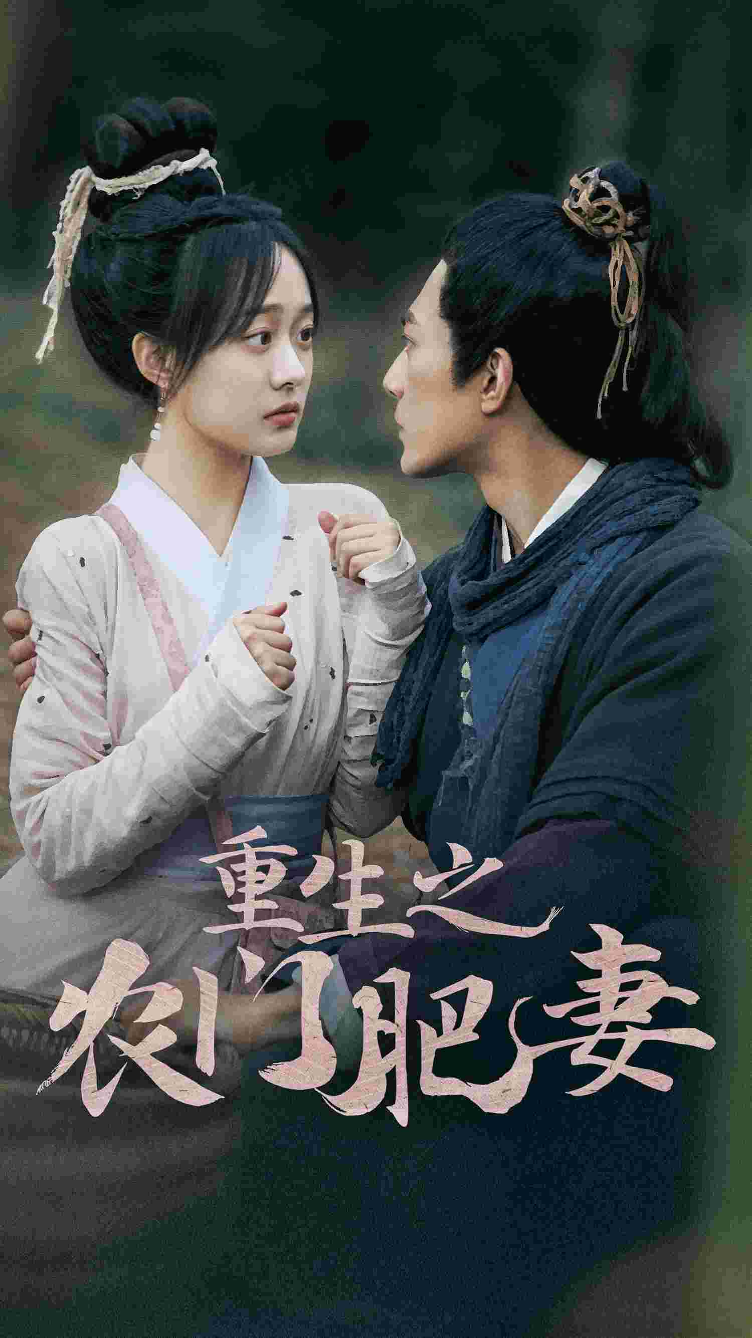 重生之农门肥妻 第48集