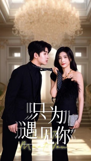 只为遇见你短剧 第44集