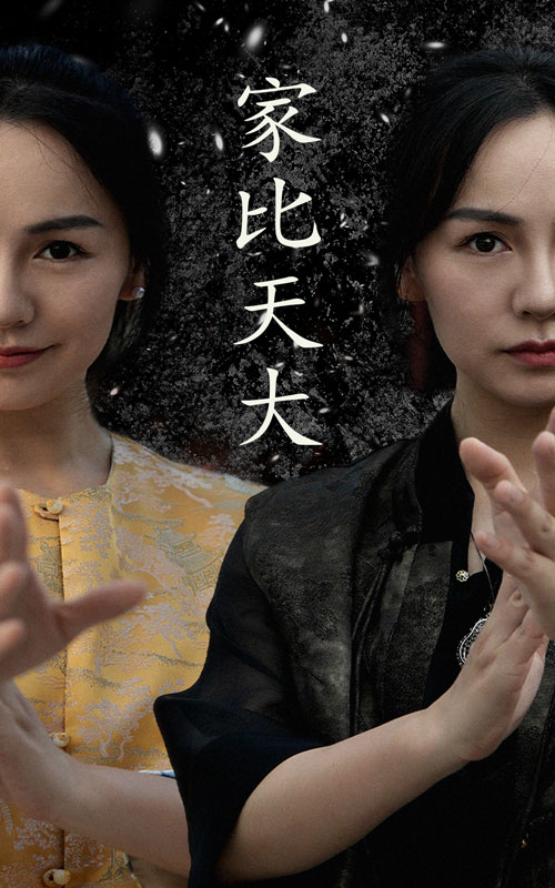 家比天大短剧 第42集