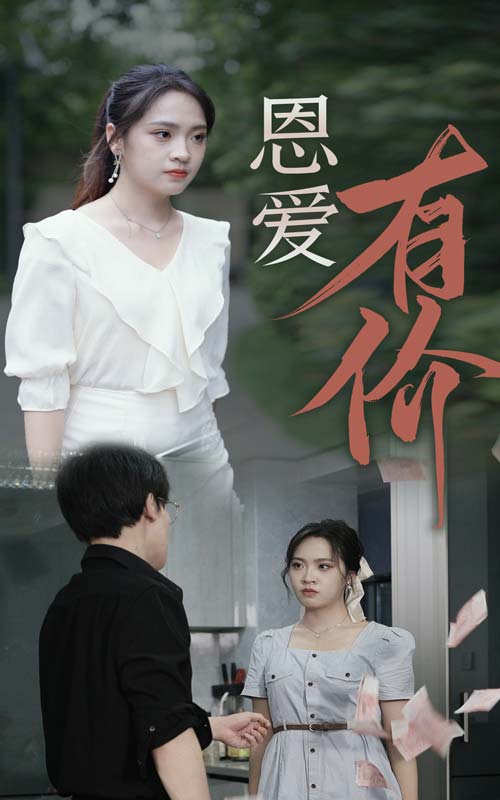 恩爱有价 第12集