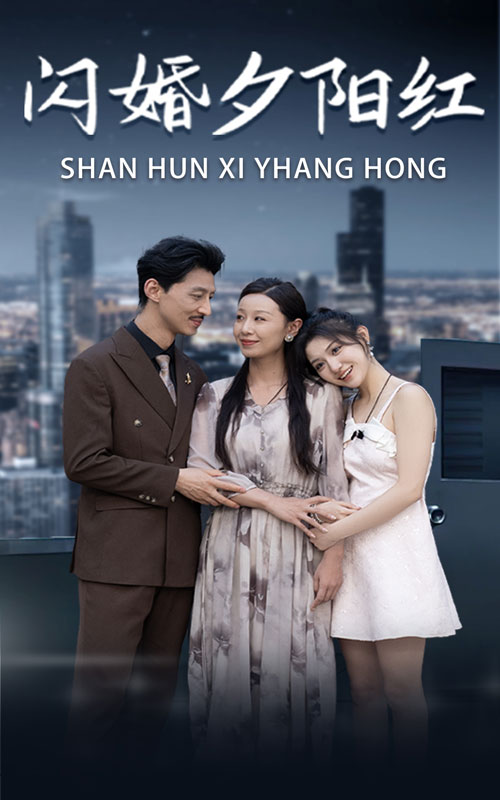 闪婚夕阳红 第17集