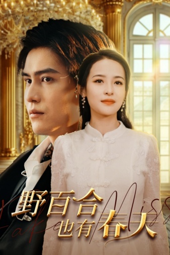 野百合也有春天短剧 第54集