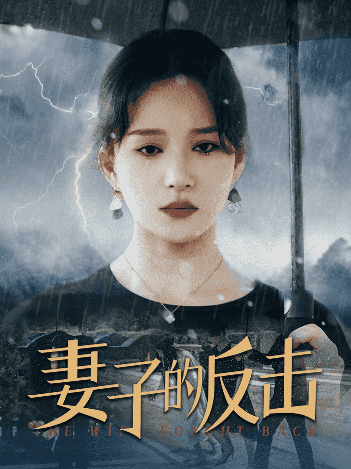 妻子的反击 第19集