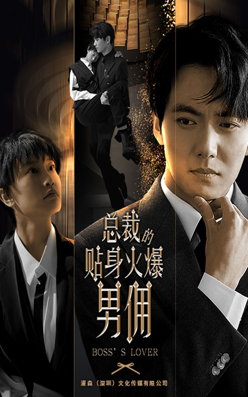 总裁的贴身火爆男佣 第13集