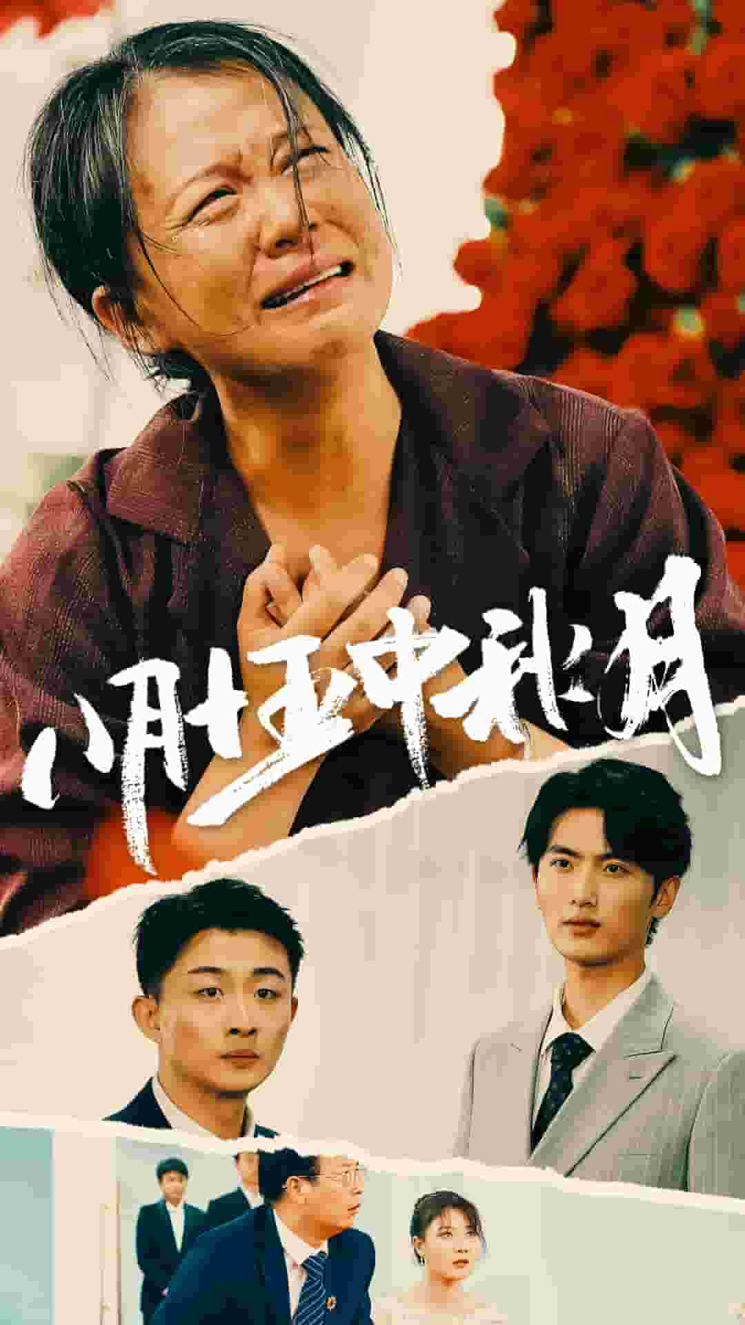 八月十五中秋月 第12集