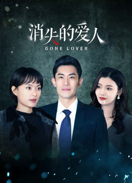 消失的爱人 第22集
