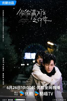 偷偷藏不住之许你 第16集