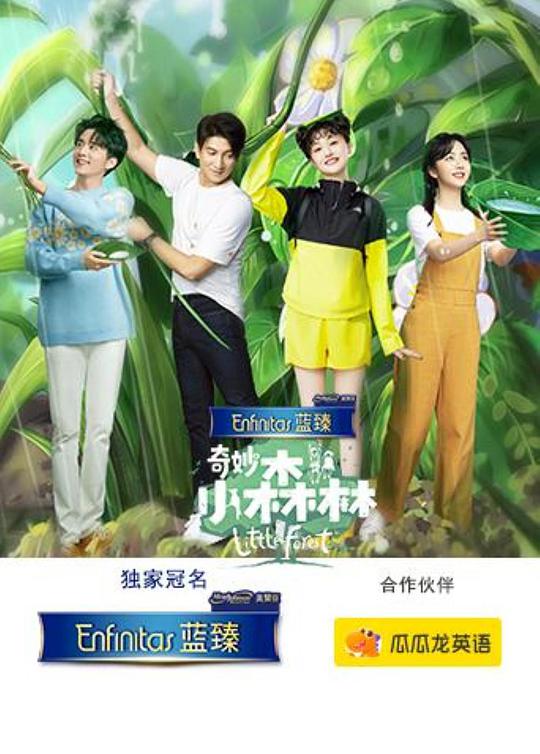 奇妙小森林 第20200820期