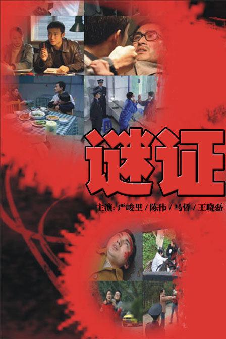 谜证 第24集(大结局)