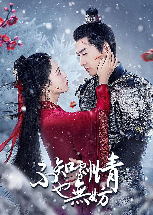 不知剧情也无妨 第05集