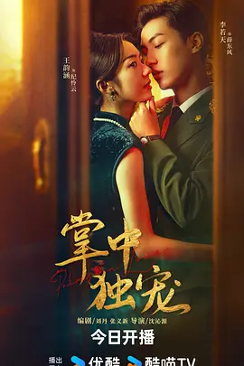 掌中独宠 第15集