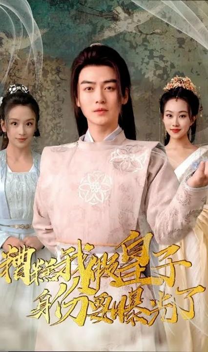 糟糕我假皇子身份要曝光了 全集(大结局)