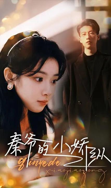 秦爷的小娇纵 全集(大结局)