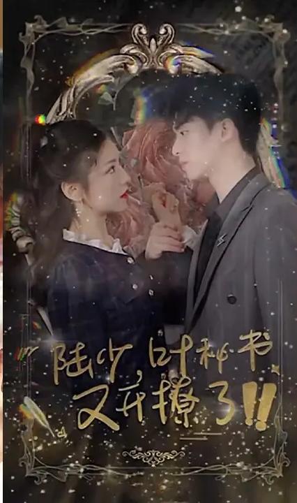 陆少，叶秘书又开撩了！ 全集(大结局)