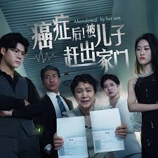 癌症后，被儿子赶出家门 第16集