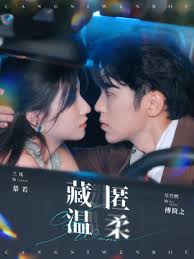 藏匿温柔 第03集