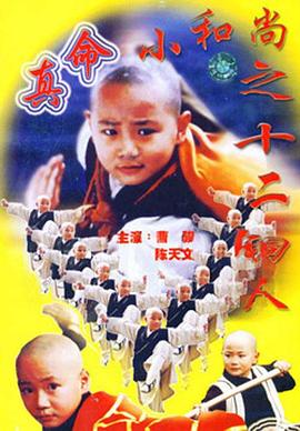 真命小和尚之十二铜人 第15集